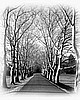 The Road to Fonthill